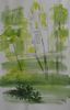 cityjungle_tn